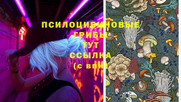 герыч Беломорск