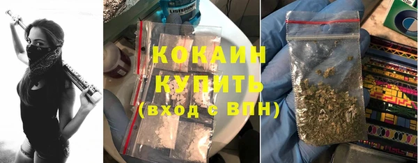 мяу мяу мука Баксан