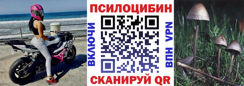 Галлюциногенные грибы Psilocybe  дарнет шоп  Ленинградская 